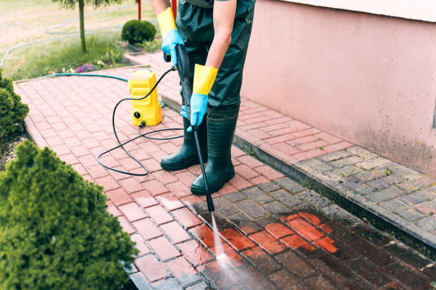 Reliable Le Claire, IA Pressure Washing Services Solutions